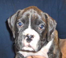 5 weeks