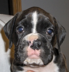 5 weeks old