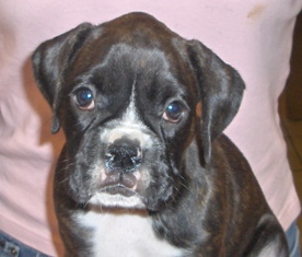 6 weeks