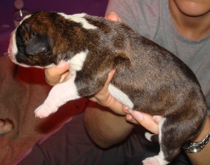 1 day old