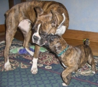 Hera and Chloe