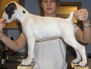 Coco week 7