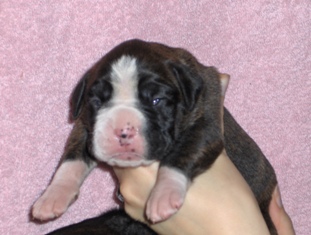 flashy boy day 7