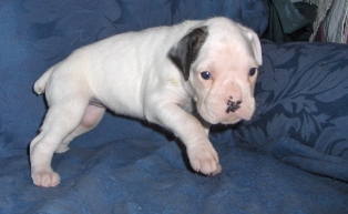 Luna day 20
