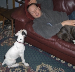 Luna asking Jerry for "permission" to get on the couch!