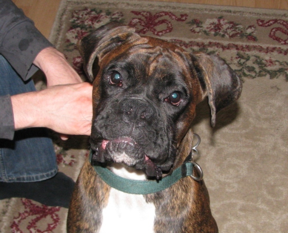 Saturn, 1 year old