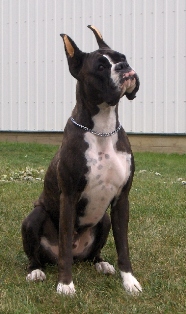 Anubis 1st leg April 14th 2006.